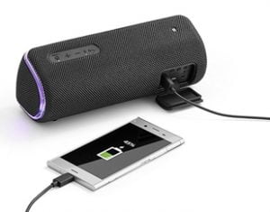 Sony SRS-XB31 Wireless Speaker