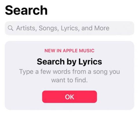 Search by Lyrics - iOS 12