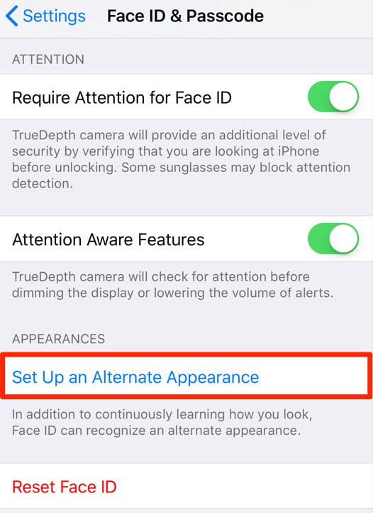 Face ID (Set up an Alternate Appearance) - iOS 12