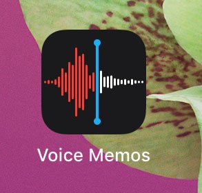 Voice Memos - iOS 12