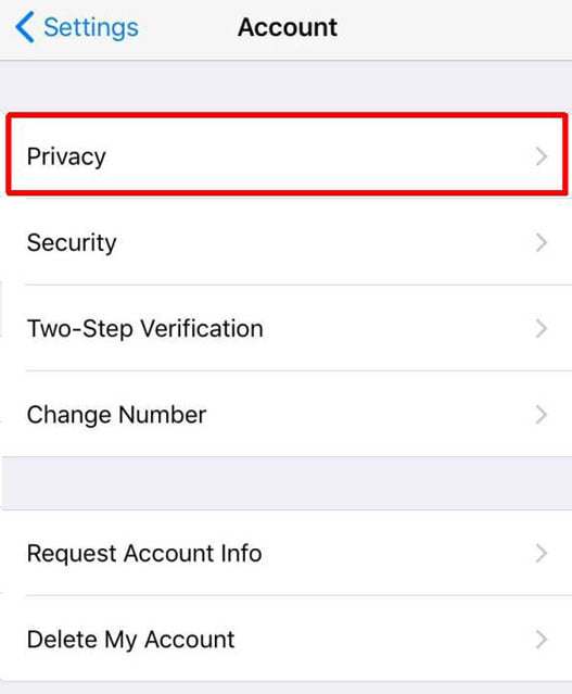iPhone Settings >> Account >> Privacy
