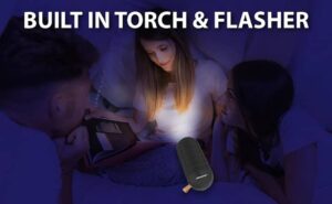 Blaupunkt BT10 Bluetooth Speaker