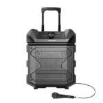 Blaupunkt Rock & ROLL PS150 Bluetooth Speaker