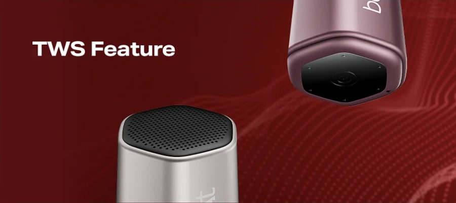 boAt Stone 100 Portable Speaker