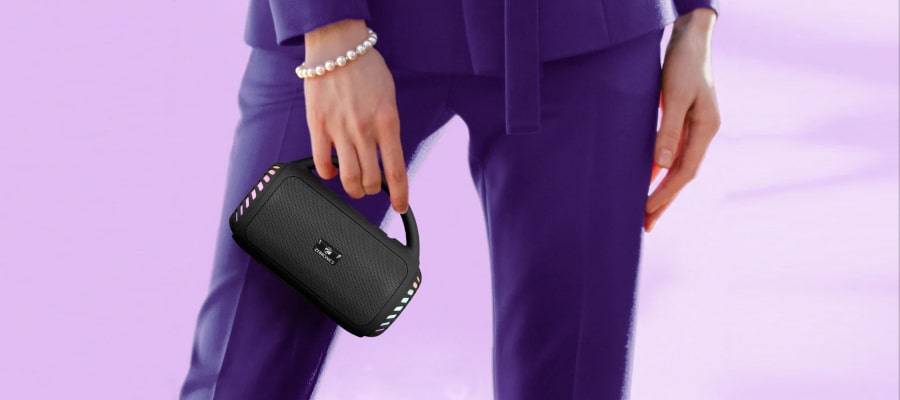 Zebronics Zeb County 5 Plus Portable Speaker