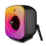 boAt PartyPal 65 Pro Portable Party Speaker